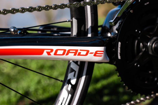 Giant Road-E+ chain and crank